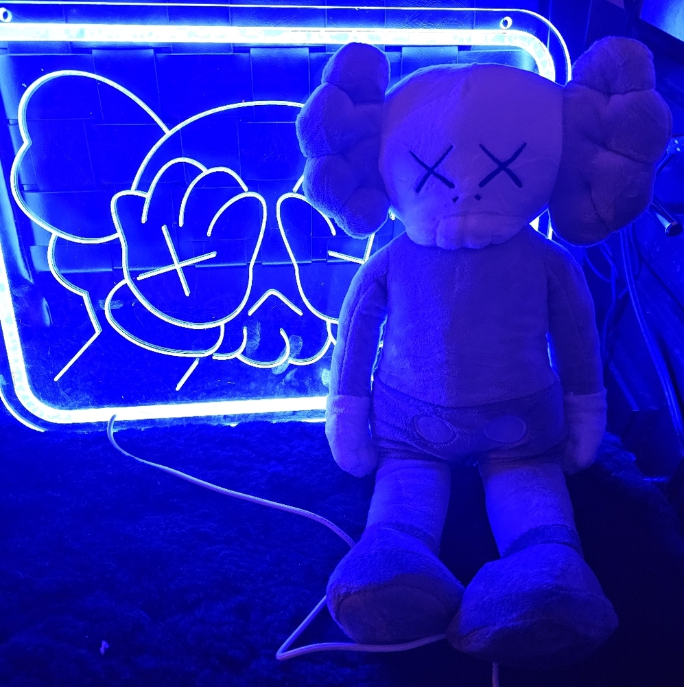 Set Of 2 KAWS Cawopa BFF Companion Brown Plush - like new And  Night Led